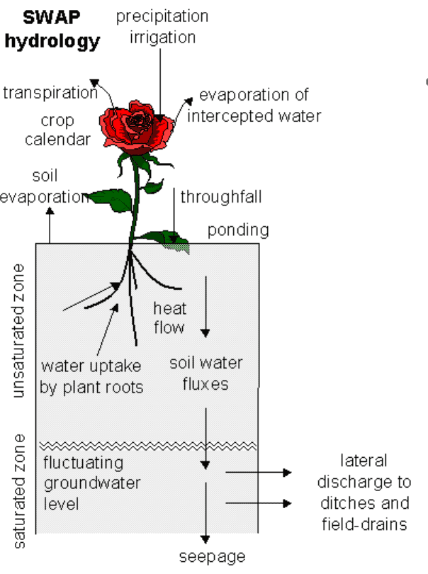 SWAPhydrology.png