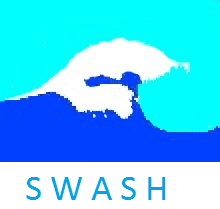 logo swash